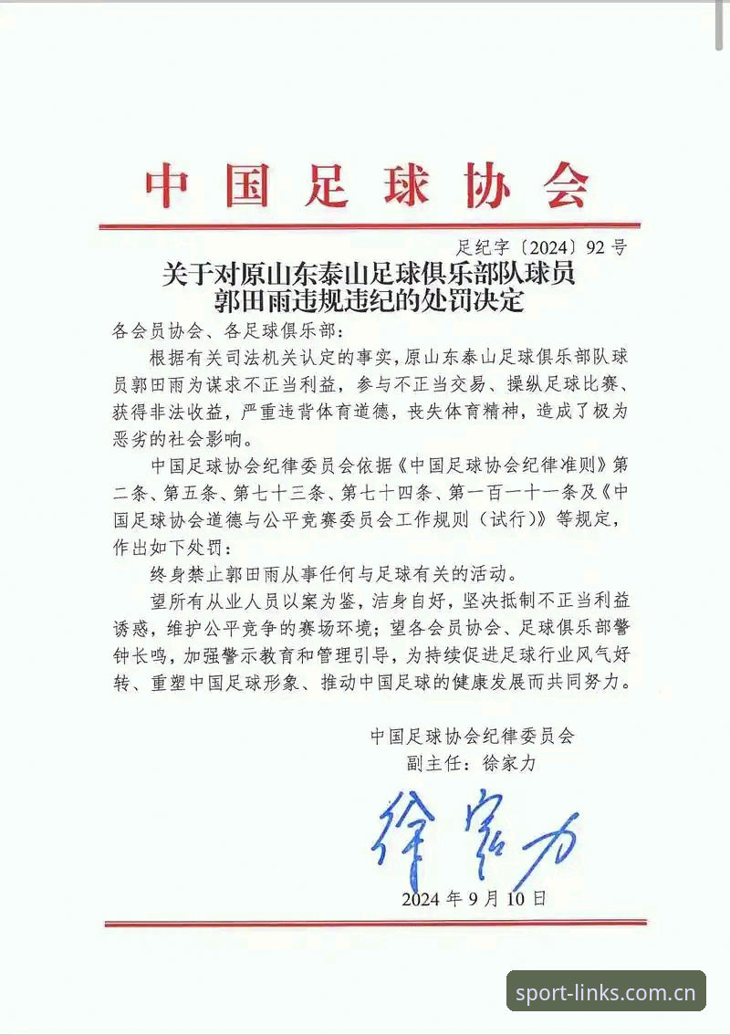 中国足协禁足令 vs 行业净化：第三批名单背后的足球生态重塑之路